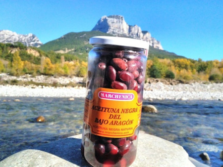 Aceituna negra del bajo Aragón Marchenica