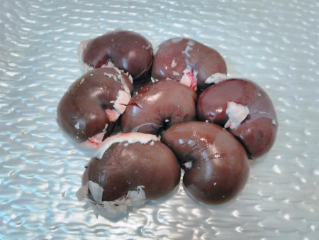 Riñones de cordero