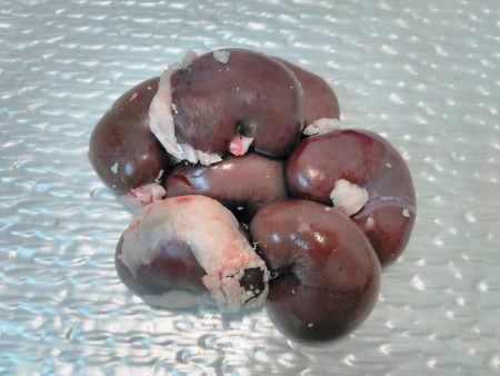 Riñones de cordero