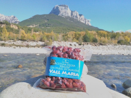 Aceituna negra "Aragón"