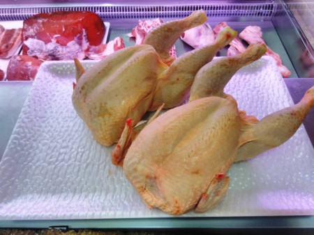Pollo