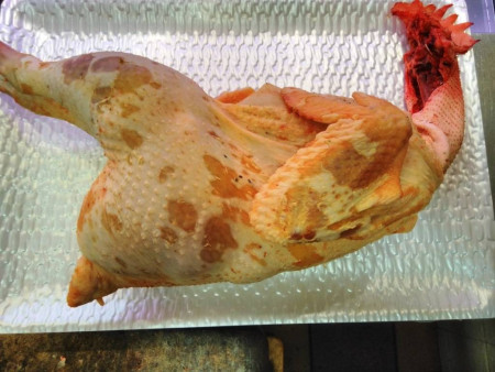 Pollo de corral
