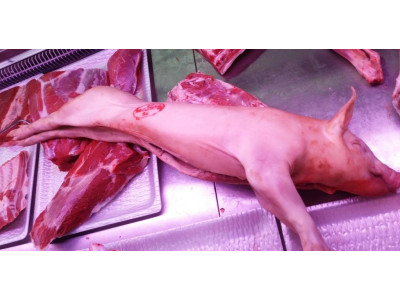 Cochinillo
