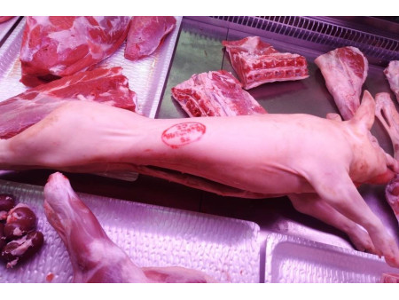Cochinillo