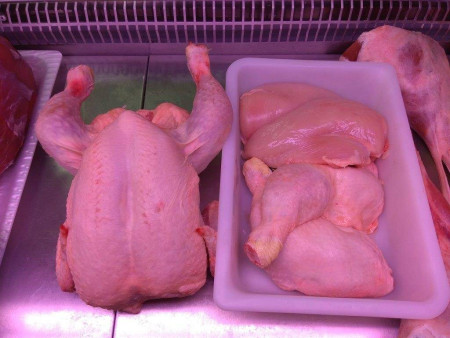 Pollo