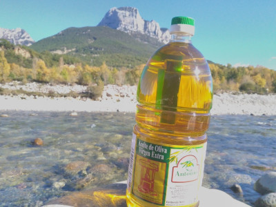 Comprar Aceite de oliva San Antonio