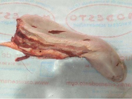 Lengua de ternera