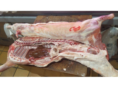 Cabrito de Modesto