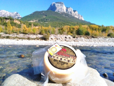 Queso San Pelegrín, leche cruda de cabra