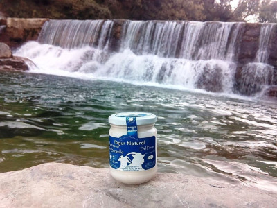 Yogur natural de Saravillo
