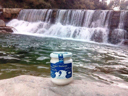 Yogur natural de Saravillo