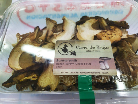 Boletus edulis