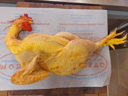 Pollo de corral
