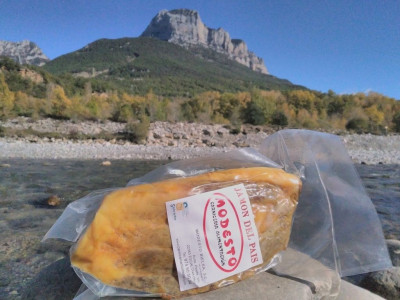 Contramaza de Jamón de Modesto