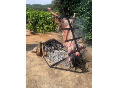 Cabrito entero