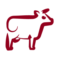 Ternera
