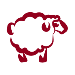 Comprar cordero online- Venta de carne de cordero online