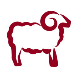 Comprar cabrito lechal online - El mejor cabrito lechal online